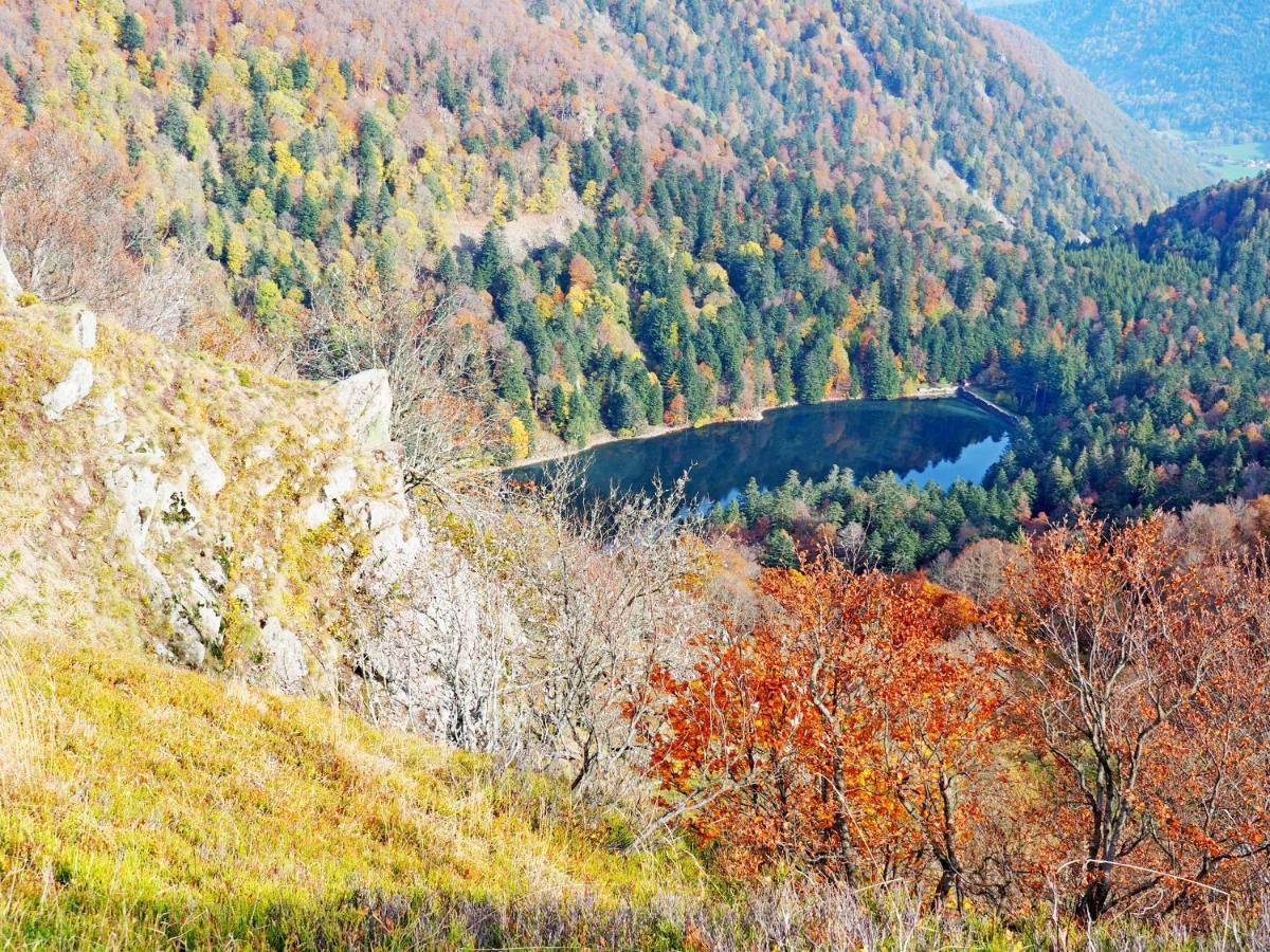 Appartement Maison Vosgienne La Bresse Centre 外观 照片